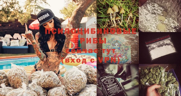 круглые Абаза